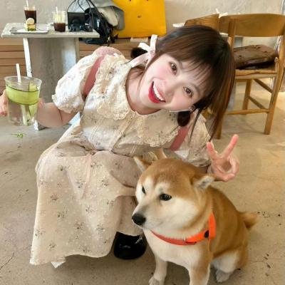 开关