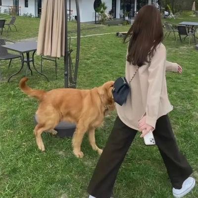 常磐庄的青春